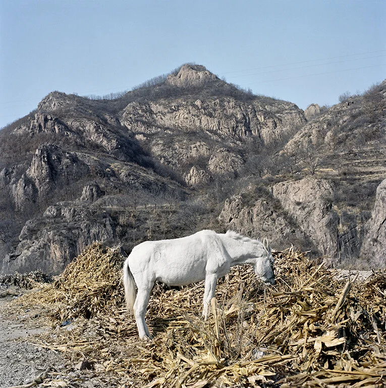 Next to the Wall — Musée Magazine